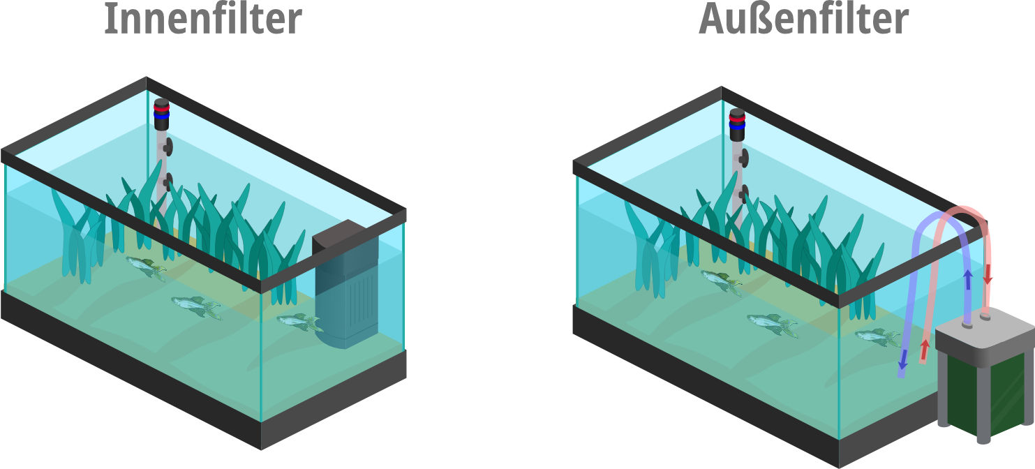 Wie Verstecke Ich Einen Innenfilter Im Aquarium Aquarium einrichten -die umfassende Anleitung